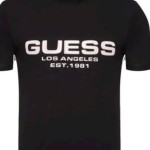 Guess 2